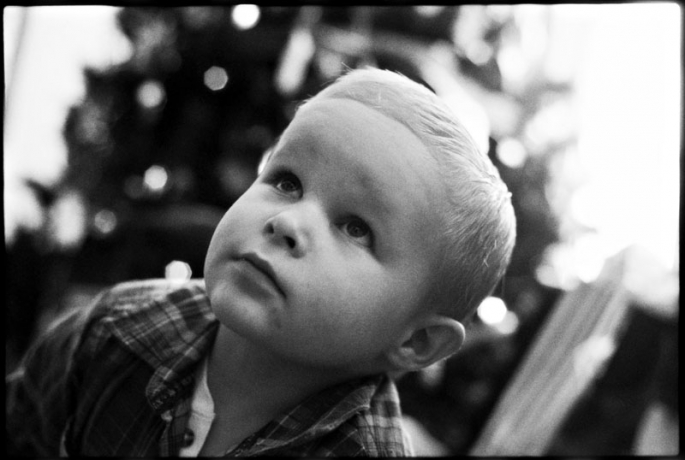 Portrait of a little boy on Christmas
